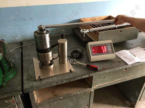 SGBZQ扭力放大器